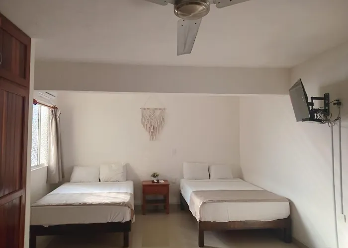Casa Barka